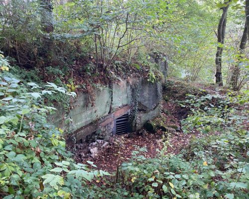 Bulge 2022 Simonskall Bunker